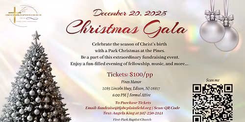 A Park Christmas At The Pines