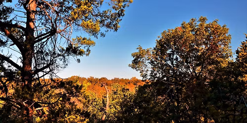 Piedmont Ridge fall foliage hike - Nov 15 Sat  