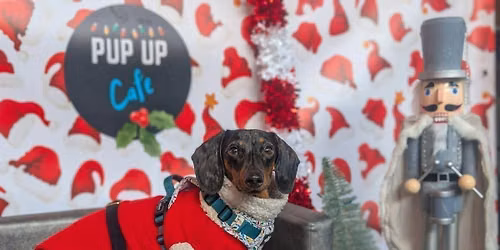 Sheffield - Dashing Dachshund Christmas Tour \ud83c\udf84