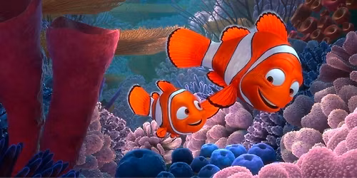 Finding Nemo - Sponsored by Kathy Phillips, Principal Broker, Phillips\nRealty & Associates, LLC