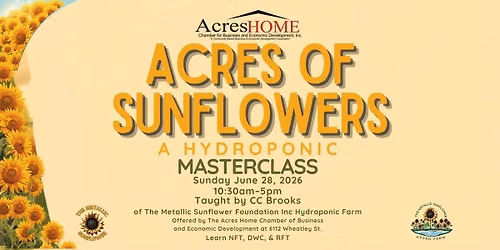 Acres Of Sunflowers: A Hydroponic Masterclass