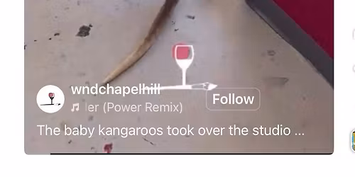 Attending Paint and Play with Baby Kangaroos