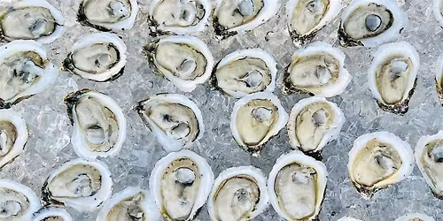 Eagle Point on the Lawn