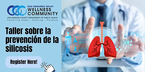 Taller sobre la prevenci\u00f3n de la silicosis