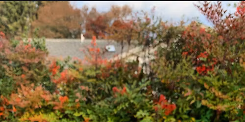 Sourdough Workshop @ Pono Bowl Co. 