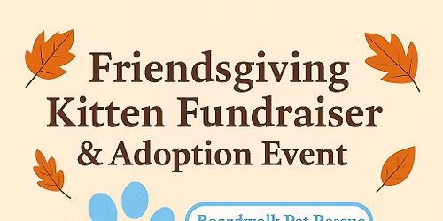 Friendsgiving Kitten Fundraiser & Adoption Event 