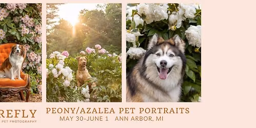 Pet Portrait Sessions in the Peony\/Azalea Garden in Ann Arbor