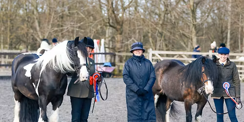 Sparket In Hand Show - Sat April 25th