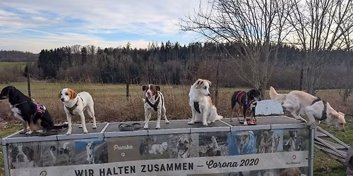 Adventsspaziergang