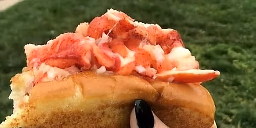 Lobster Dogs at Tractor Supply (Whiskey Rd)-AIKEN