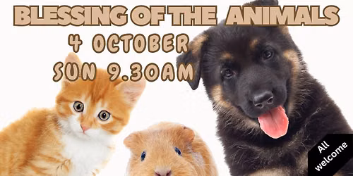 Blessing Of The Animals