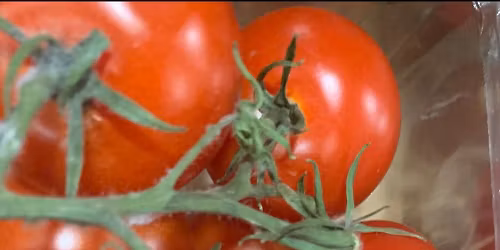 Compassion Food Distribution of Colorado