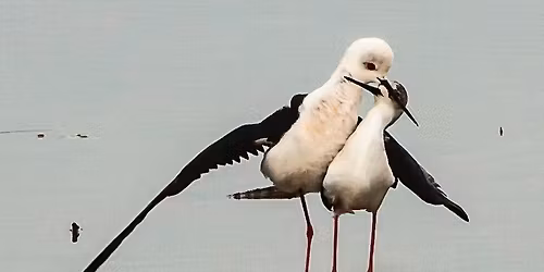 S\u00e9duire, au bord de l'eau