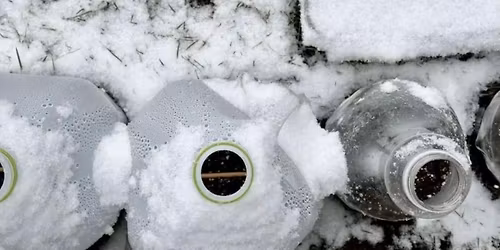 Iowa City, IA - Winter Sowing in Milk Jugs