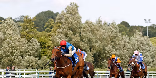 Party Night at the Races