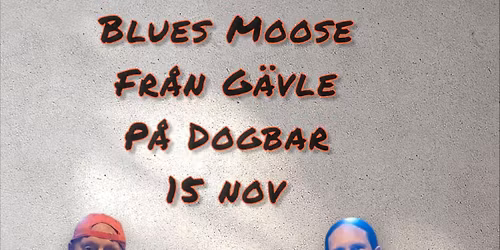 BLUES MOOSE LIVE @DOGBARUPPSALA 