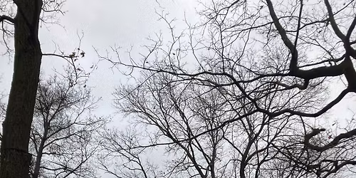 V hou\u0161t\u00ed 18\/7\/26