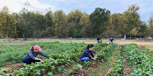 Arcadia Open Volunteer Saturday - MAY