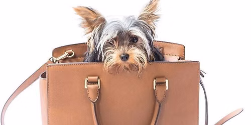 2nd Annual Hamptons Handbag Festival