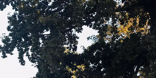 Shakeout Run: Zalando x Copenhagen Marathon 