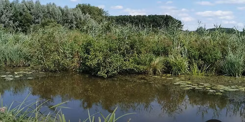 La marche des zombies affam\u00e9s (mais \u00e9quip\u00e9s en soupe)