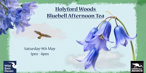Bluebell Afternoon Tea