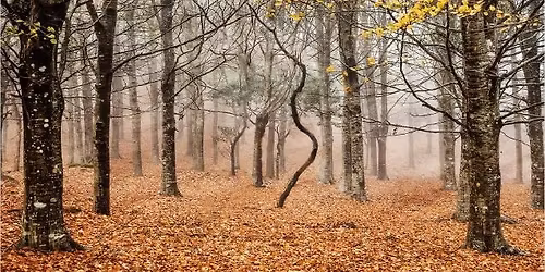 Colour Print League Competition - 2nd Round