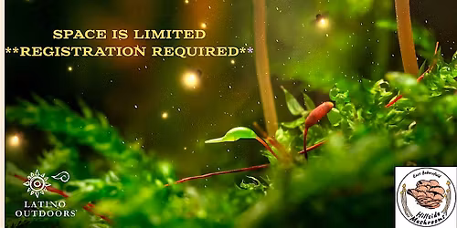 LO Bakersfield | Marvelous Mushrooms