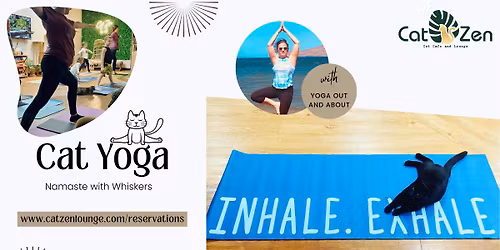 Yoga with Cats!