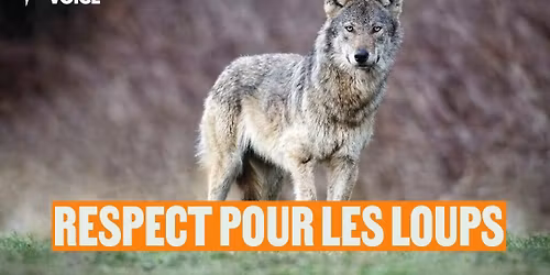 Paris - Respect pour les loups