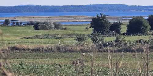 Vandretur p\u00e5 Or\u00f8, 17 km.