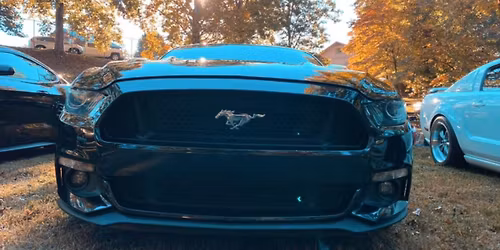 53rd Annual Fall Regional Shelby\/Mustang and Ford Show