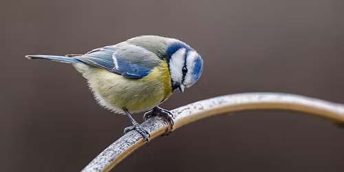 HORS LES MURS avec le MOBE !