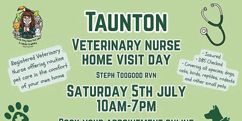 TAUNTON Vet Nurse home visit day 