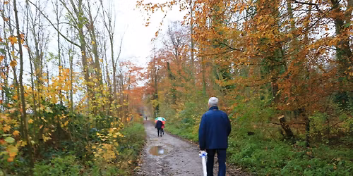 Herfsttocht - Wandelclub Cracks Wolvertem