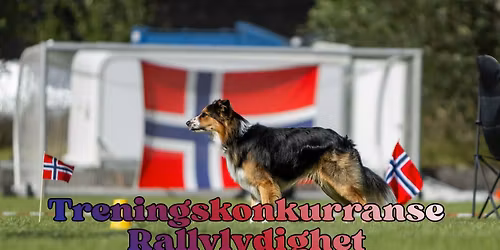 Rally treningskonkurranse, TOH