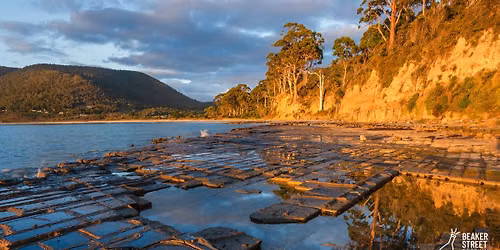Antarctic Connections Tasman Peninsula Tour
