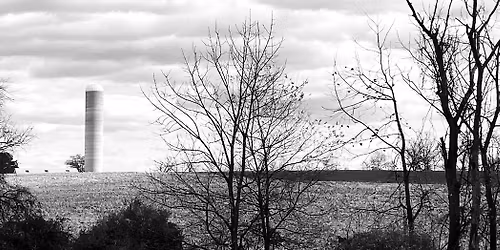 Gravity Hill at Graduate Hotel