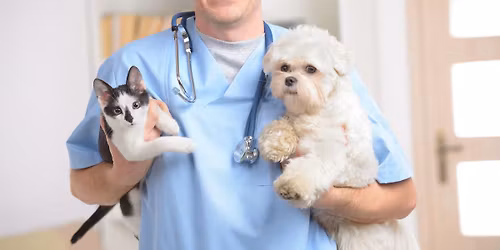 Low Cost Vaccine Clinic