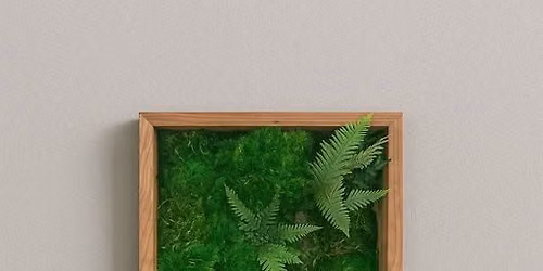 Peacefully Planted: Moss Frame Wall Art with Second Nature ICT