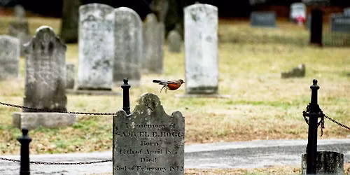 Every Stone a Story: Memorial Rock Painting Event at the City Cemetery