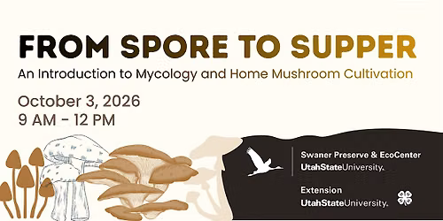 From Spore to Supper