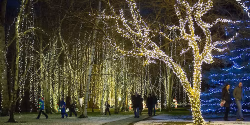 Home for the Holidays - Detroit