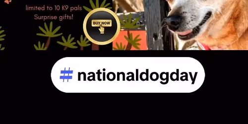 Wagging Tails & Safe Trails