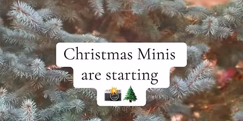 Christmas Minis with Brittany 