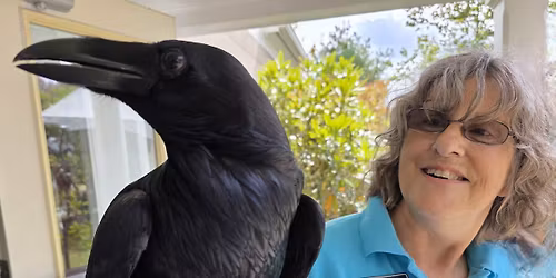 Raven: Bird, Myth, Legend with Marybeth Kaeser and Gerri Griswold
