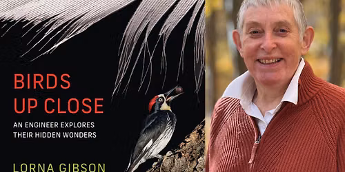 Birds Up Close with Lorna Gibson: Author Talk & Book Signing