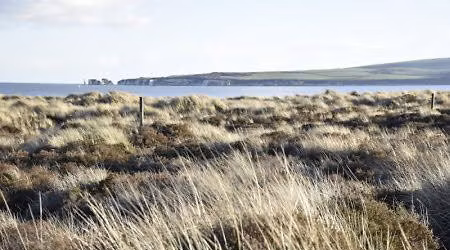 Neurodivergent Nature Walk