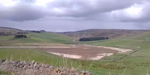 Willow Obelisk\/Plant Support Weaving