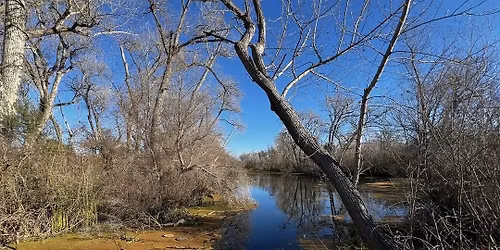 Birding the Shadow Cliffs Regional Recreation Area